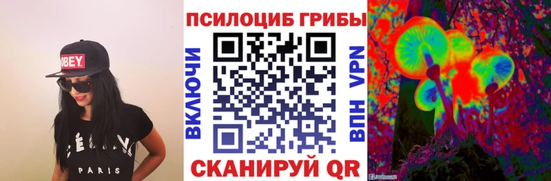 Псилоцибиновые грибы MAGIC MUSHROOMS  где продают   Заполярный 